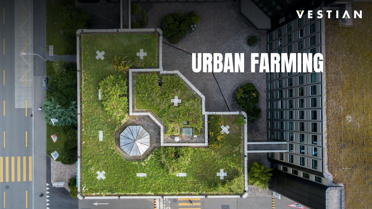 Urban Farming | Vestian