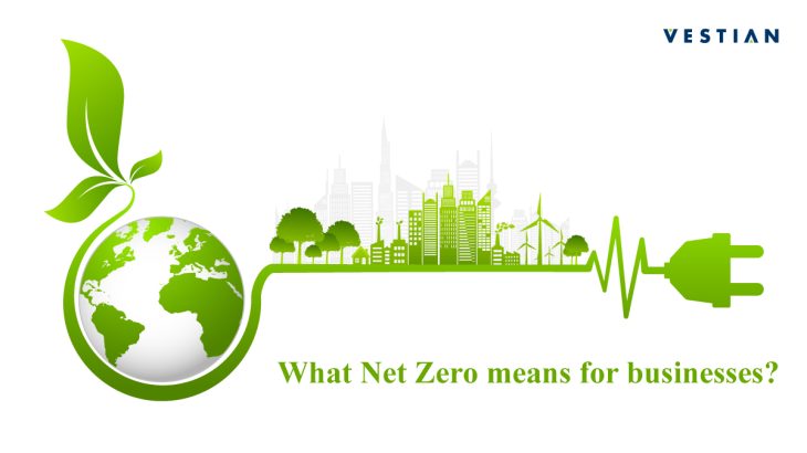 What Net Zero means for businesses?